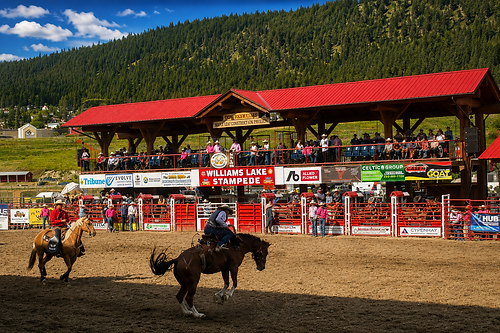 Williams Lake Stampede.png