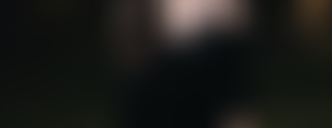 Vanessa – Lead vocals, lyricist