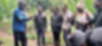 In field Practicals