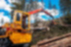 forestry_logging_truck_british_columbia.jpg