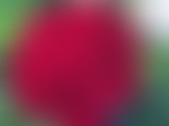 Ditsan Flowers - семейный бизнес цветов в Одессе