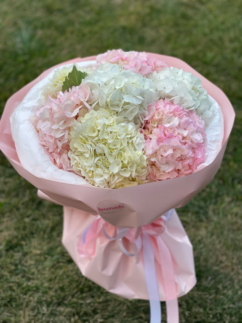 An elegant bouquet of hydrangeas in pastel shades of white and pink, wrapped in delicate pink paper with satin ribbons.