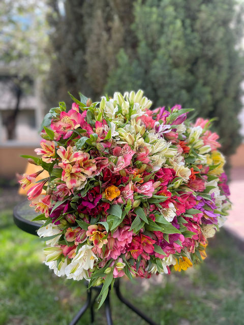 We sell Alstroemerias in Odessa Ukraine