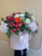 IMG_7320.jpeg