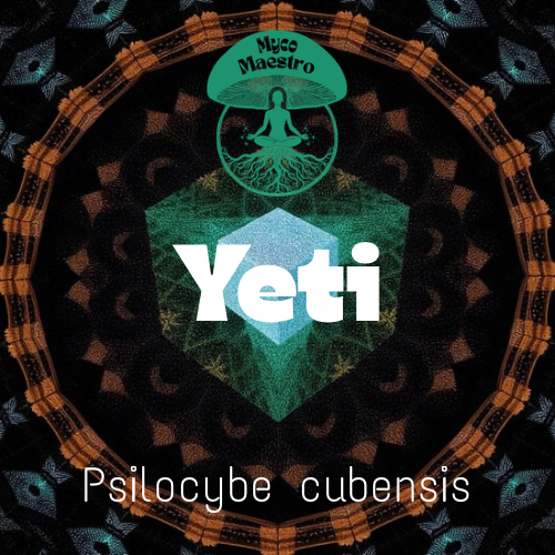 Yeti Liquid Culture
