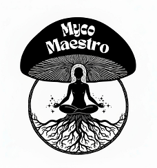 3 Myco Maestro 3.png