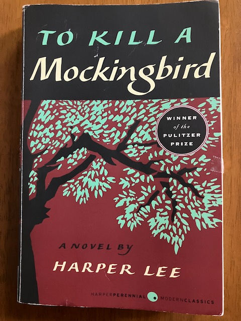 🌼From "To Kill A Mockingbird"