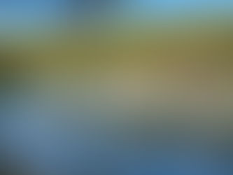 🍄September Question 3