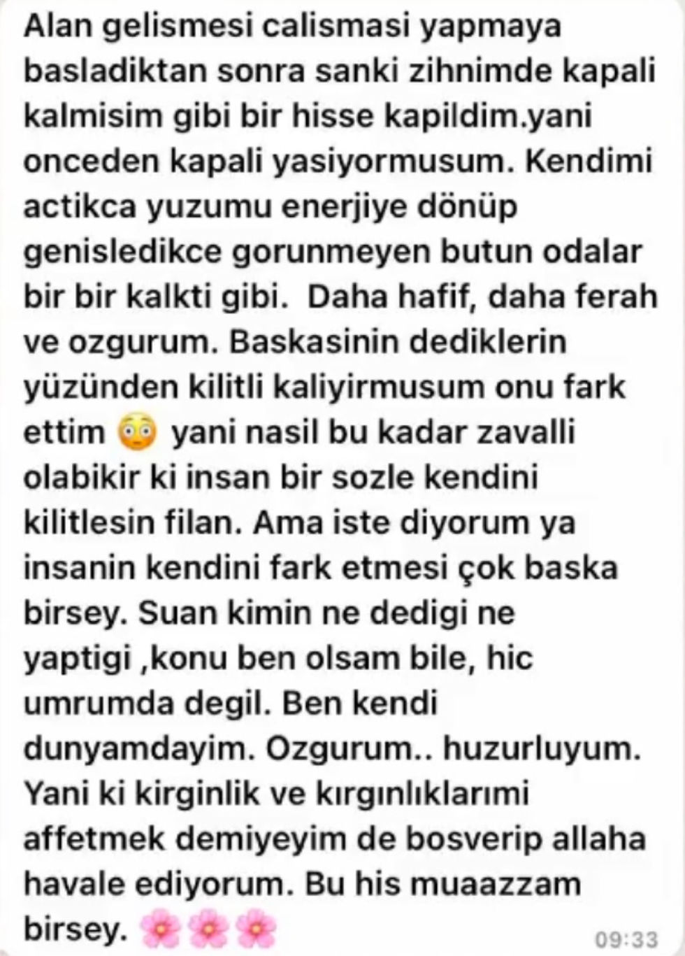 Küçük resim: Özşevkatin Gücü Programı