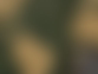 Fall 2025 IAF Update