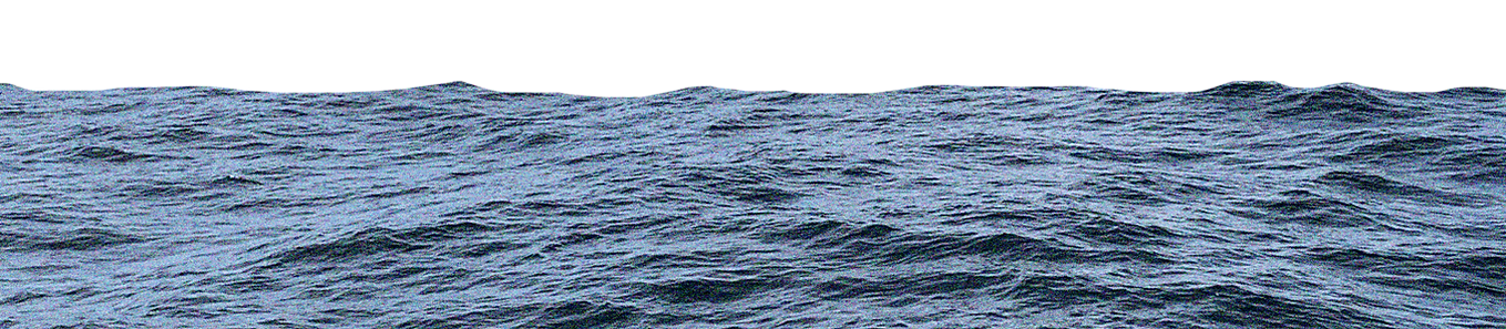 Ocean sticker_edited_edited.png