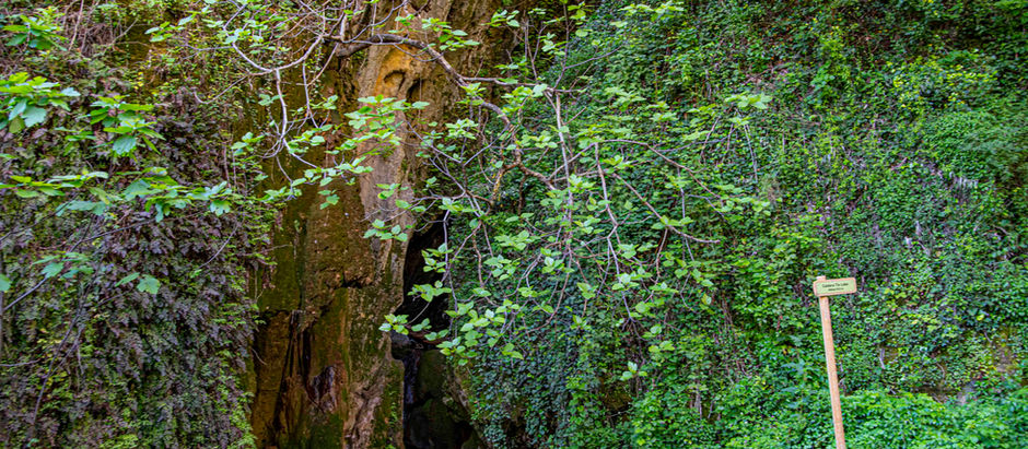 RUTA LA CALDERA DEL TIO LOBO. ALBANCHEZ DE MÁGINA