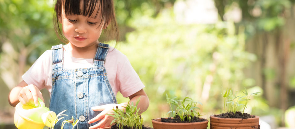 SUPUESTO PRÁCTICO INFANTIL RESUELTO. LA EDUCACIÓN MEDIOAMBIENTAL.