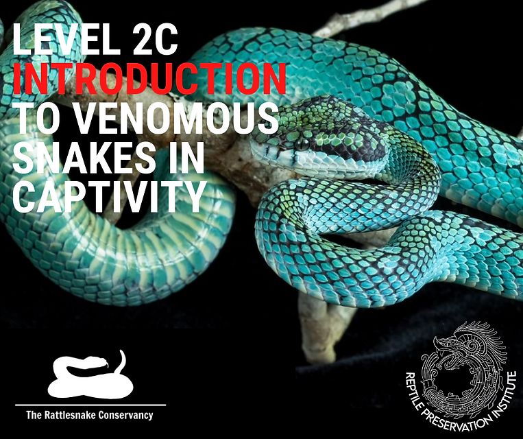Copy of Copy of Copy of Copy of Copy of Level 1 Venomous Training (3).png