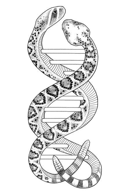 61941964_719456615156692_280756216081154