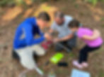 Image (7).jpeg