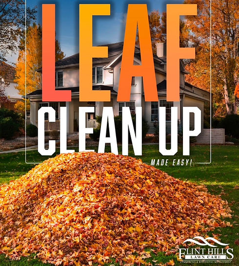 home page leaf clean up image.jpg