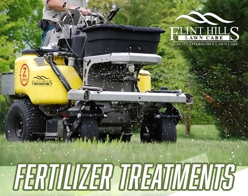 Pre treatment graphic _edited_edited_edited.jpg