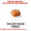 Thumbnail: Golden Retriever Puppy Dry Food For Dog
