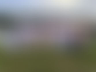 Mulherio das Letras lança três antologias nesta sexta-feira (27) em Macapá