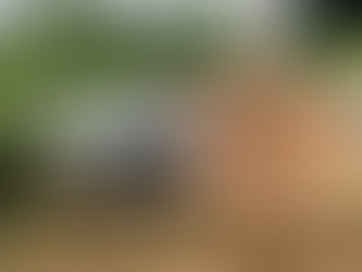 Homem é preso por manter nove pássaros silvestres em cativeiro no distrito do Carvão, em Mazagão