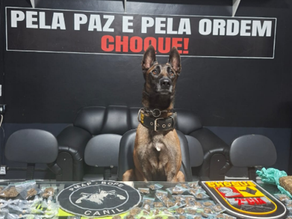 Homem morre após confronto com a Polícia Militar durante operação em Santana