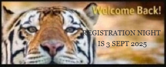 Welcome Back Tiger_edited.jpg