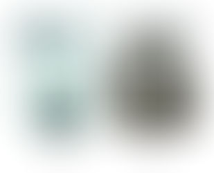 "COLOR / SCAPE" Lui Araki Photo Exhibition