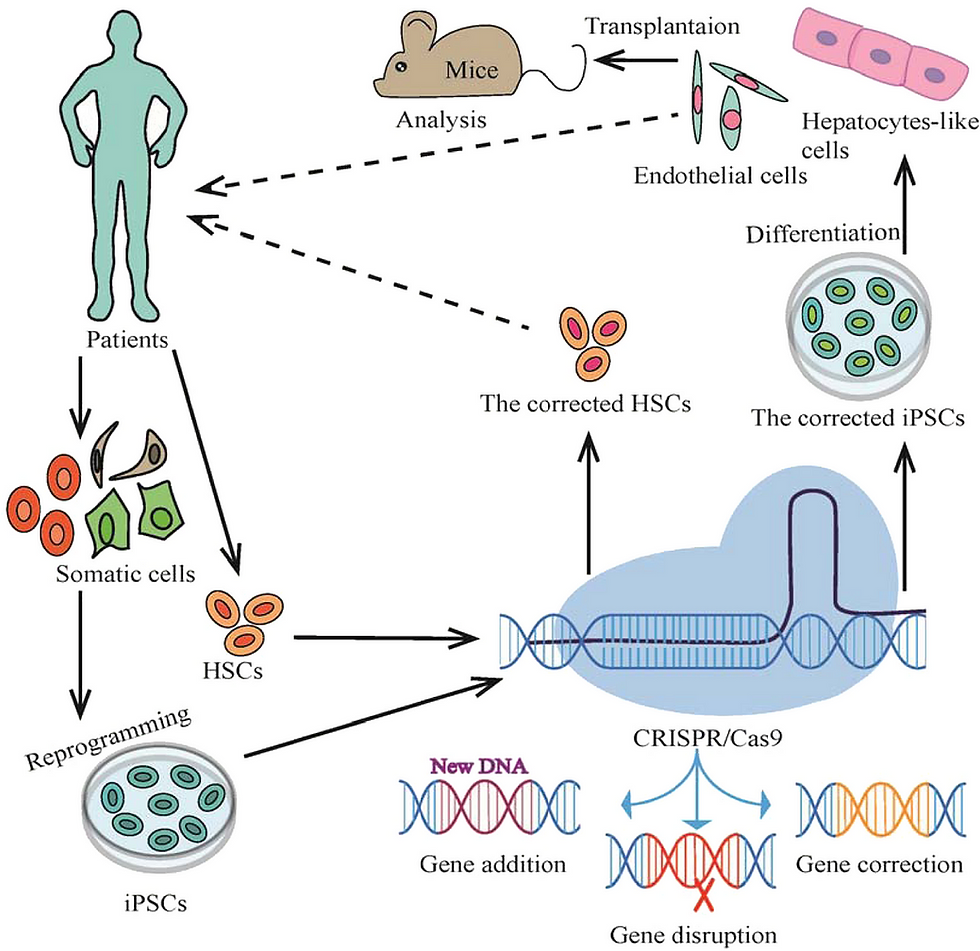 CRISPR Gene Editing: A New Era in Preventing Hereditary Diseases