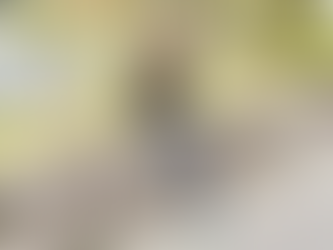 【福山市の福祉事業所】うきわく|春を快適に過ごすための活動と体調管理の工夫