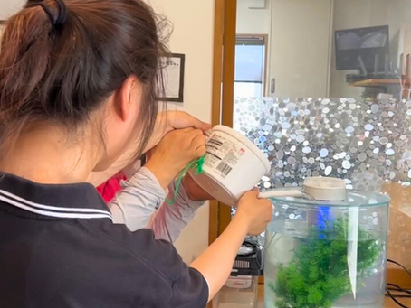 【利用者さんが元気に過ごせる夏の支援】夏の体調管理、どうしてる?