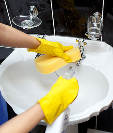 Scrubbing the Sink