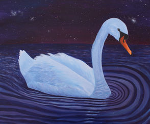 A swan floats gracefully across a lake at night.