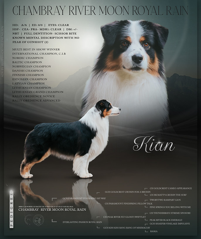 Kian 2.jpg