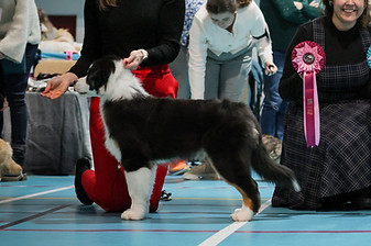CB09F7AF-A9B6-4DDC-AD45-D1416E1F2AAB.JPG
