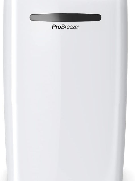 Dehumidifiers vs Air Purifiers: Which One Is Right for You?