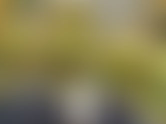 An Ithaca Travel Highlight 