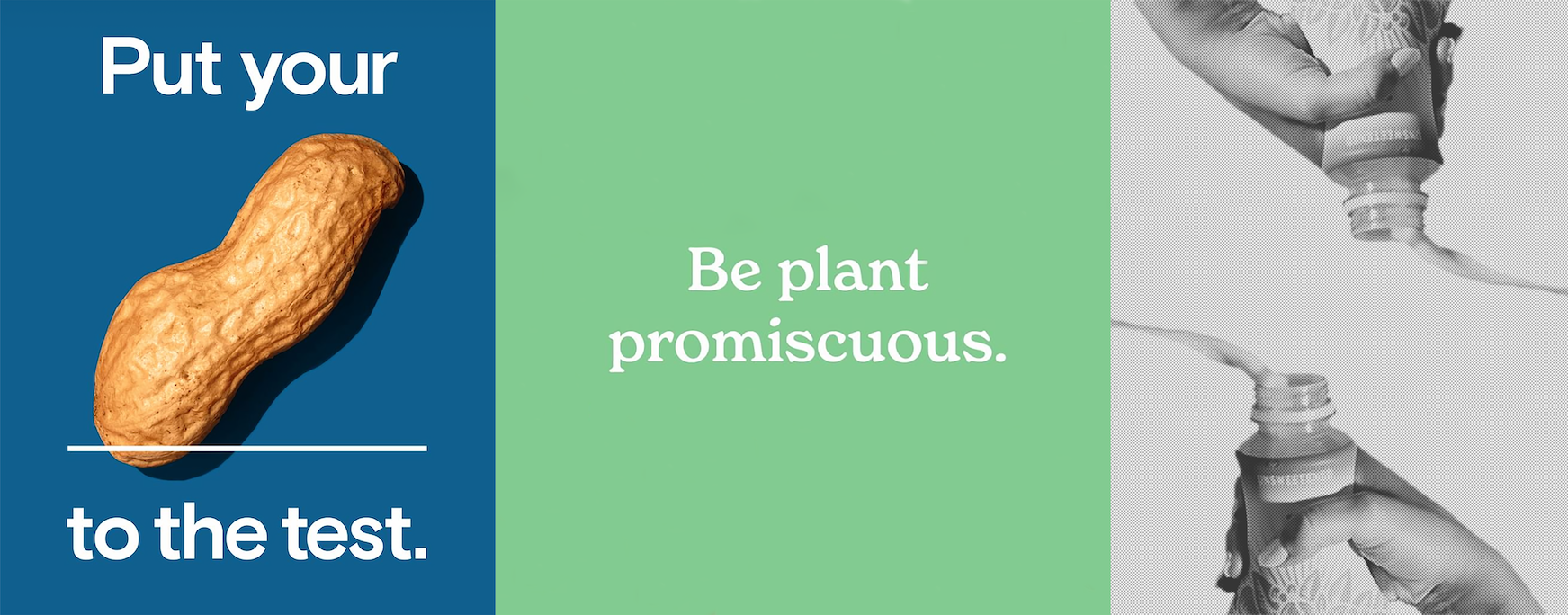 plant promiscuous.png