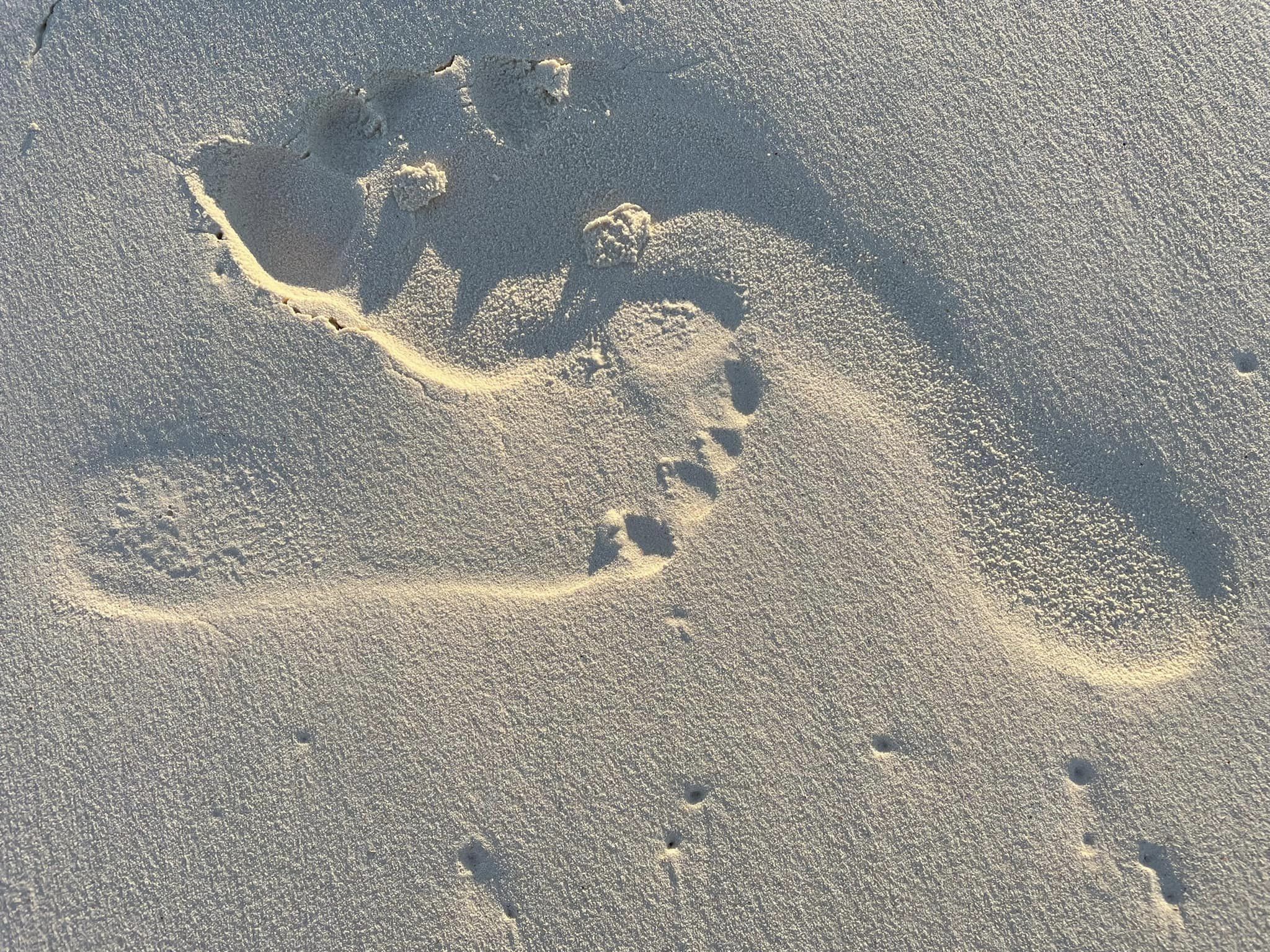 298994133_10217223678863240_5044081519485032950_n