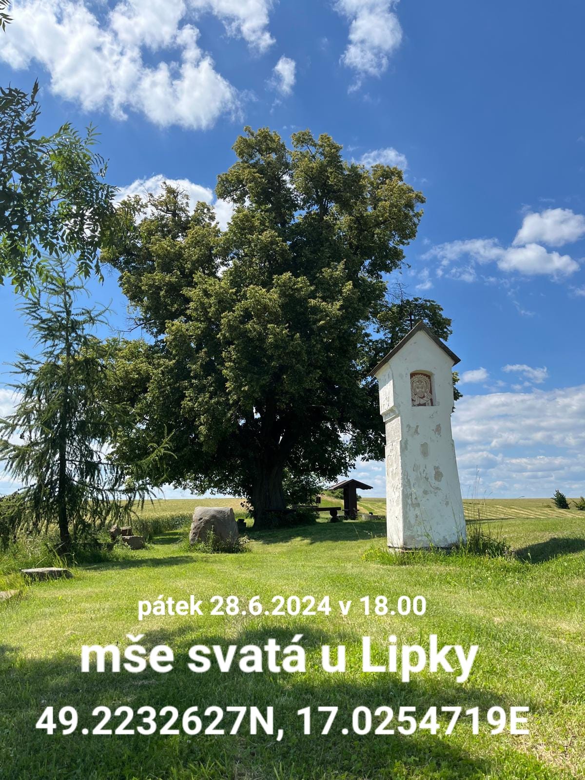 WhatsApp Image 2024-06-23 at 18.56.55