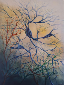 David Beck