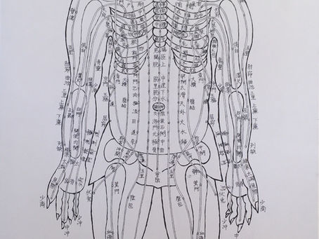 正人明堂图(Ancient Anatomical Knowledge):