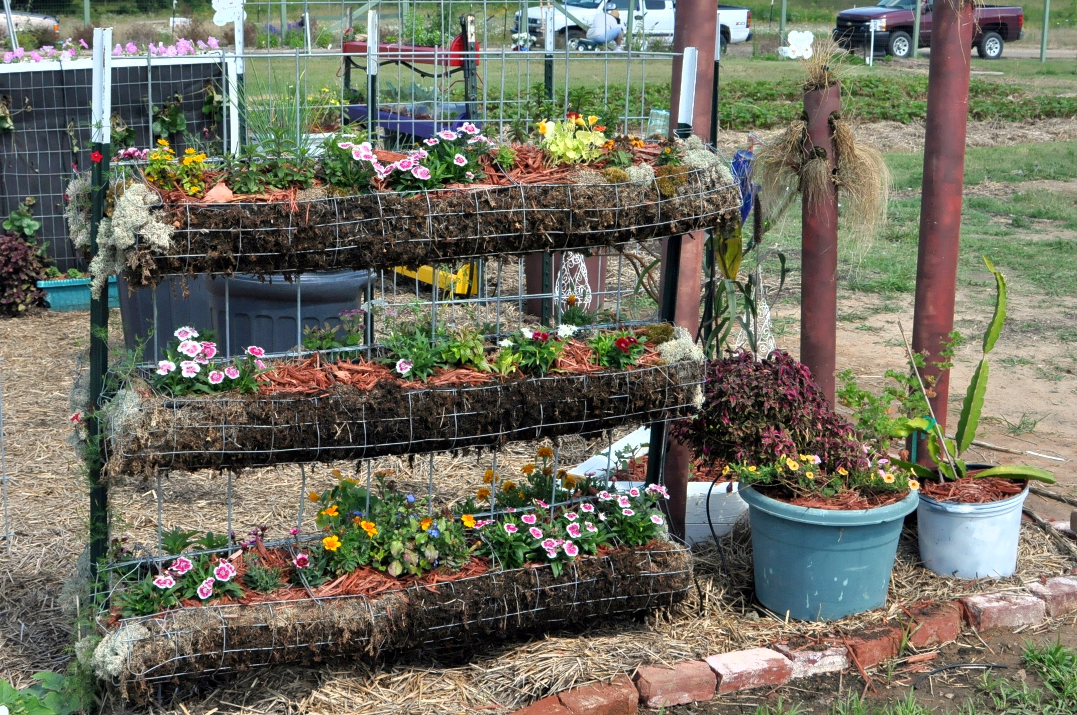Vertical Garden