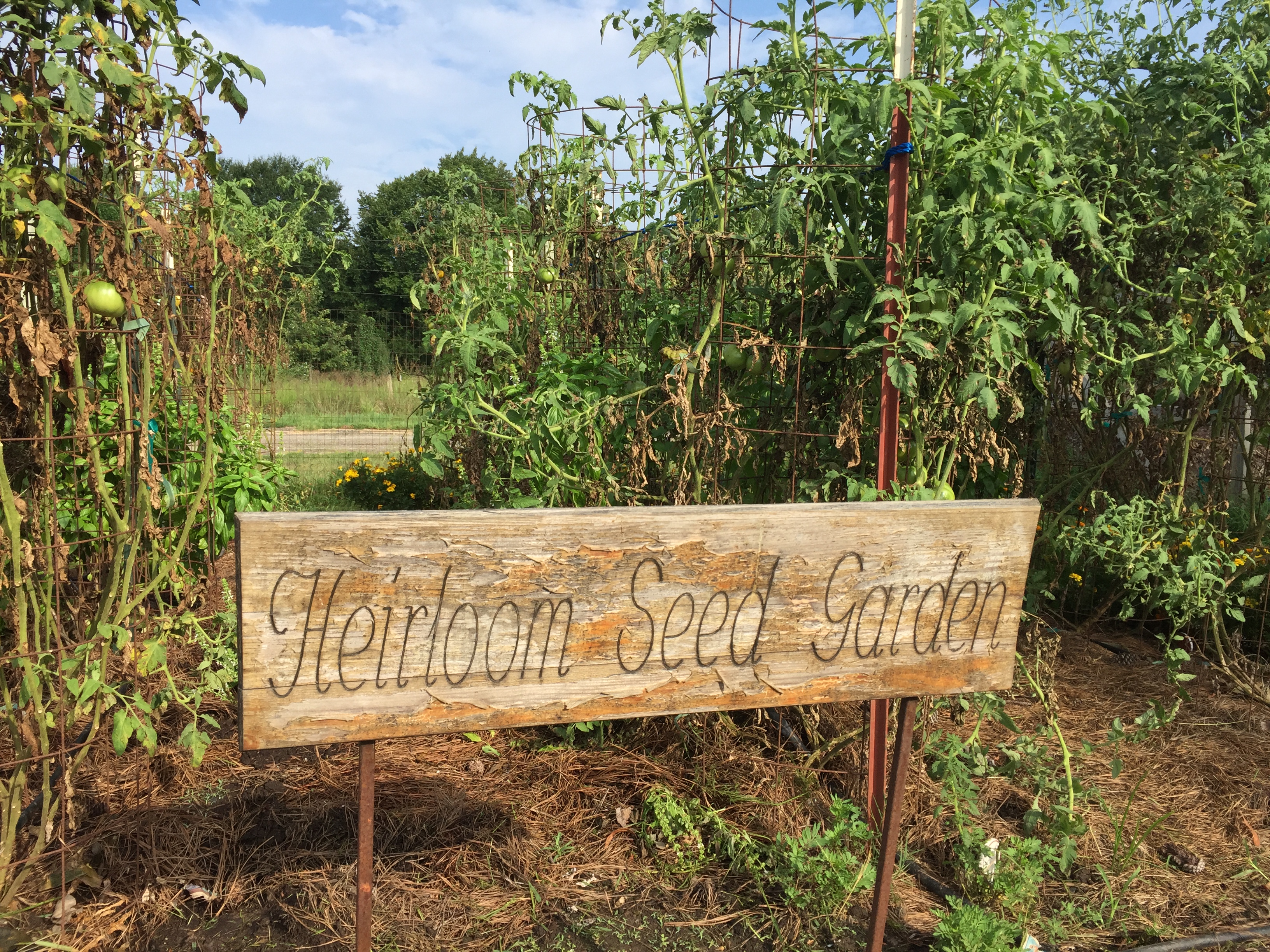 Heirloom Seed Garden