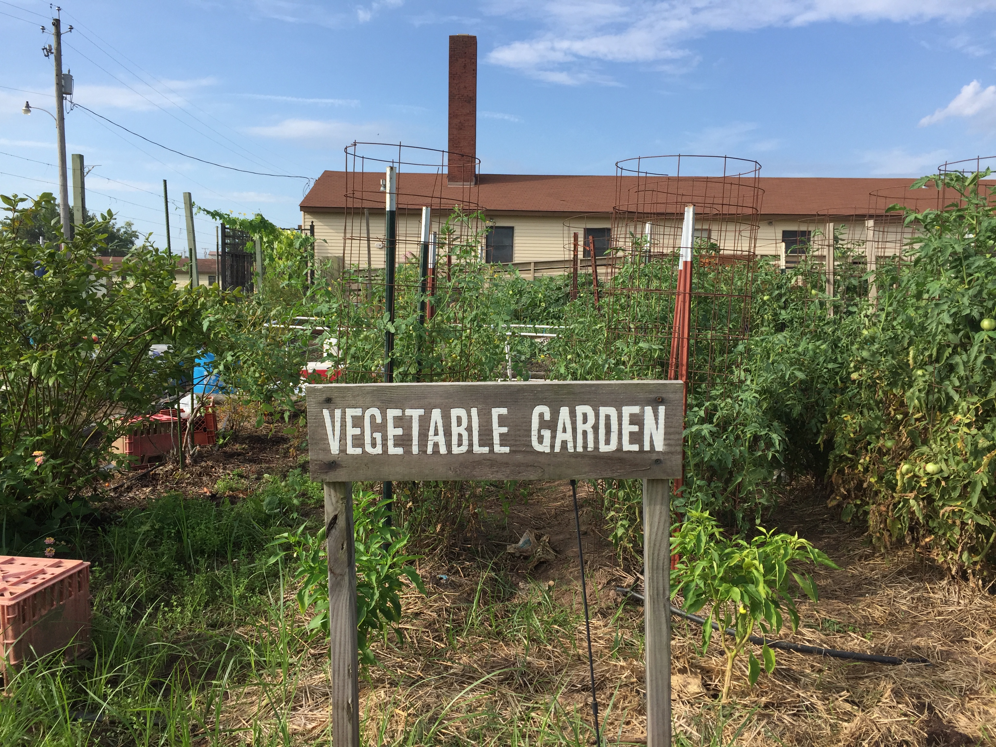 Vegetable Garden