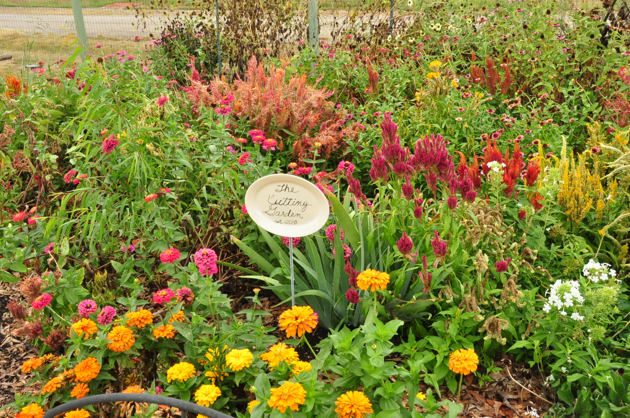 Cutting Garden