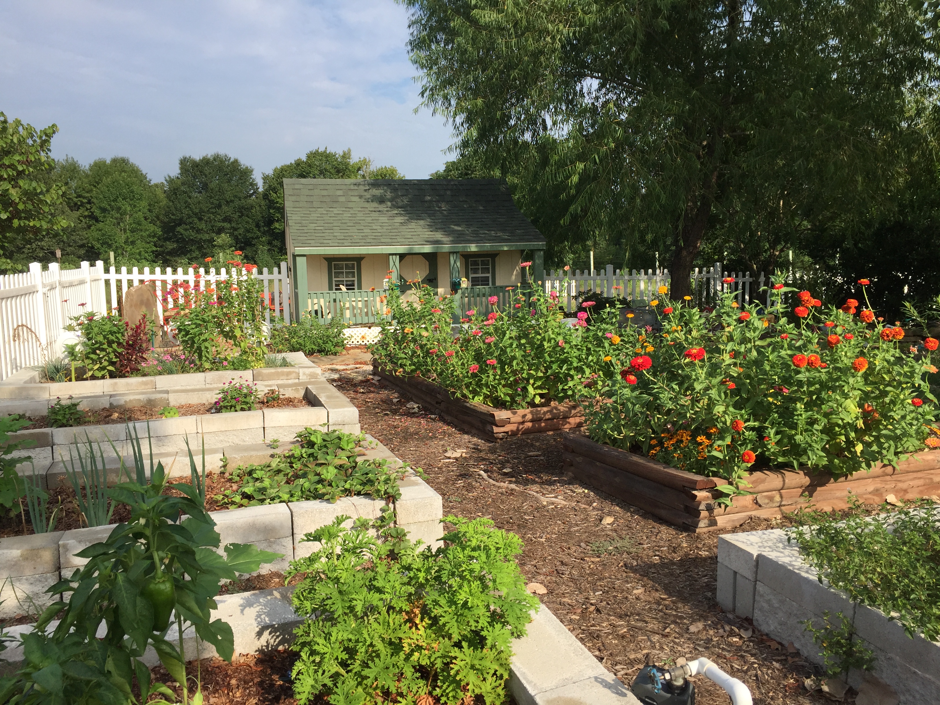 Children’s Garden