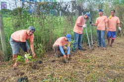 2017_1028_07593700-01 (Medium)