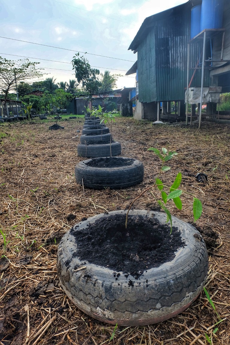 2017_1028_08002200-01 (Medium)