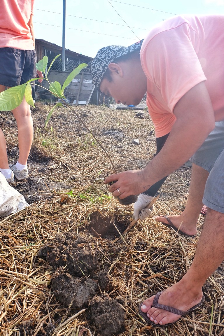 2017_1028_08061300-01 (Medium)